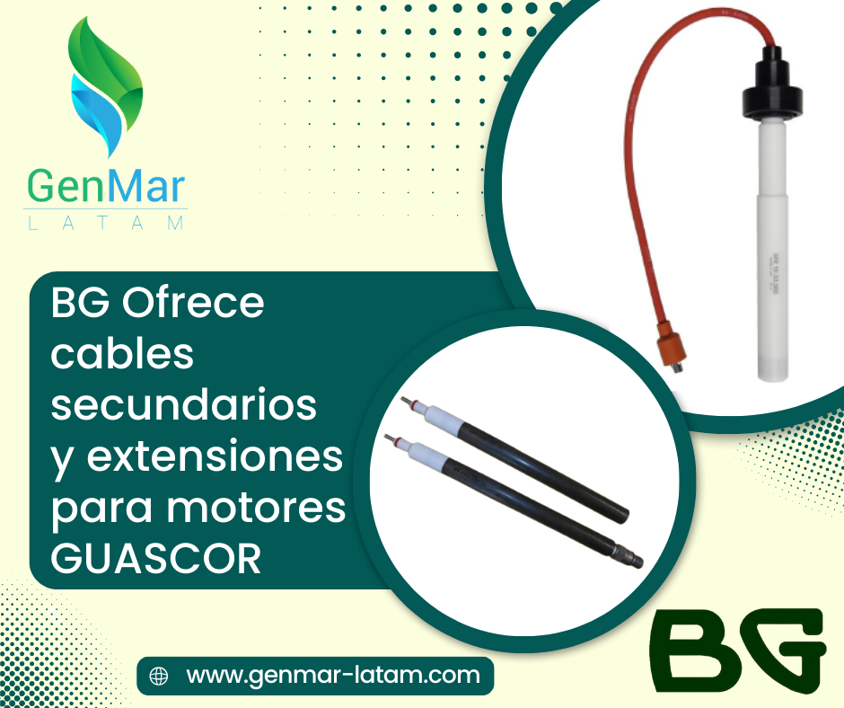 Cables y Extensiones BG para motores Guascor
